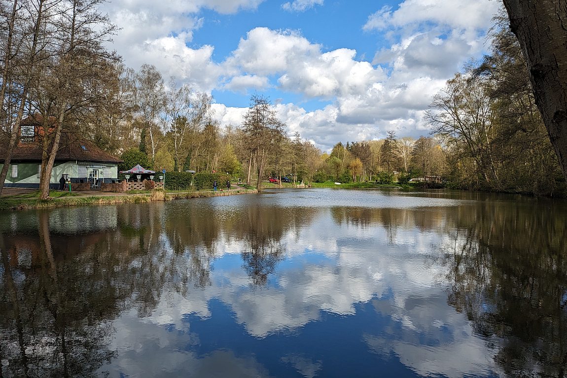 Fischweiher in Fraulautern